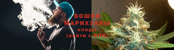 дмт Дмитриев