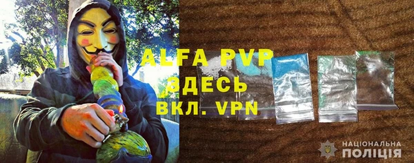 PSILOCYBIN Михайлов